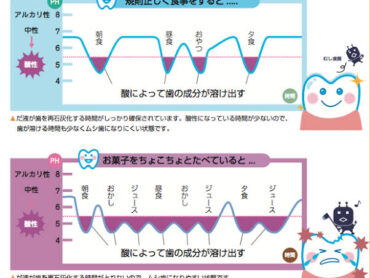 ステファンカーブについてのアイキャッチ画像