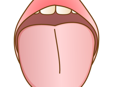 舌の役割についてのアイキャッチ画像