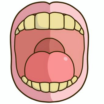 テトラサイクリン歯とは？のアイキャッチ画像