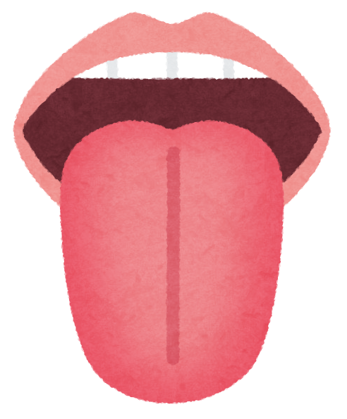 正しい舌の位置についてのアイキャッチ画像
